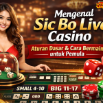 Mengenal Sic Bo Live Casino